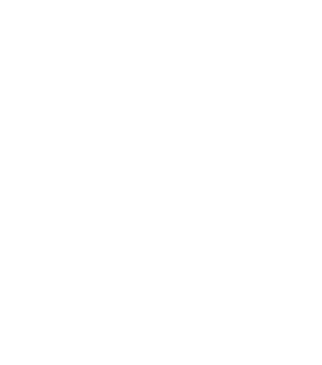 Art-Thérapie Contemporaine, Médiation artistiques